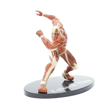 Kolossale Figuren – Attack on Titan™