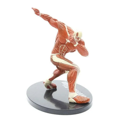 Kolossale Figuren – Attack on Titan™