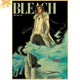 Coyote Stark Poster - Bleach™
