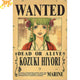 Hiyori Wanted Poster – One Piece™