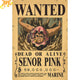 Wanted Senor Pink Poster – One Piece™